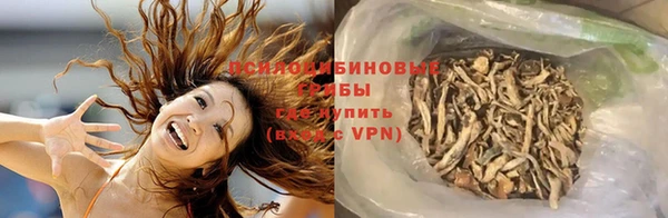 сатива Абдулино