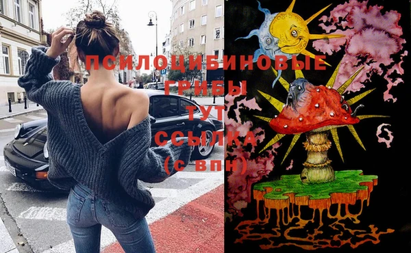 apvp Абинск