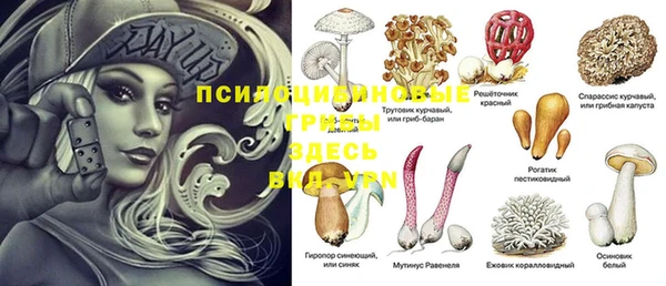 MESCALINE Абаза